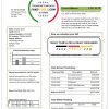 United Kingdom Ecotricity electricity utility bill template in Word and PDF format (.doc and .pdf)
