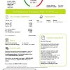 United Kingdom Flow Energy utility bill template in Word and PDF format