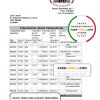 Albania Bank of Albania bank statement template in Excel an PDF format scan effect