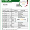 Angola Banco Comercial Angolano bank statement template in Word and PDF format
