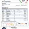 Argentina Banco Macro S.A. bank statement template in Word and PDF format