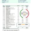 Argentina Banco Patagonia bank statement template in Word and PDF format