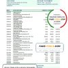 Argentina Banco Patagonia bank statement template in Excel and PDF format