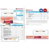 Australia Bendigo bank statement Word and PDF template, 2 pages