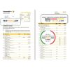 Australia Commonwealth bank statement template in Excel and PDF format (3 pages), version 2