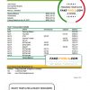 Barbados first citizens bank statement template in Excel and PDF format