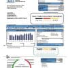 USA MEA Alaska electricity utility bill template in Word and PDF format