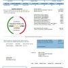 USA Michigan City of Ann Arbor Water Utilities bill template in Word and PDF format