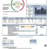 USA Minnesota East Central Energy utility bill template in Word and PDF (.doc and .pdf) format