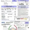 USA Minnesota Valley Electric Cooperative (MVEC) utility bill template in Word and PDF format