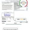 USA Mon Power utility bill template in Word and PDF format