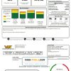 USA Nevada Waterloo North Hydro utility bill template in Word and PDF format (version 2)