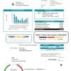 USA New Mexico PNM easy fillable utility bill template in Word and PDF format (.doc and .pdf)