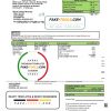 USA New Mexico electricity proof of address utility bill template in Word and PDF format