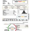USA New York Gas South utility bill template in Word and PDF format