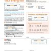 USA New York PSEG utility bill, Word and PDF template, 6 pages