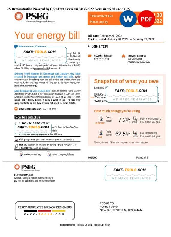 USA New York PSEG utility bill, Word and PDF template, 6 pages USA New York PSEG utility bill, Word and PDF template, 6 pages