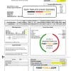 USA OEC electricity utility bill template in Word and PDF format