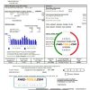 USA Pennsylvania Duquesne light utility bill template in Word and PDF format