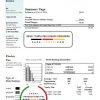 USA Pennsylvania PPL Electric utility bill template in Word and PDF format