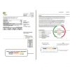 USA RG&E utility bill template in Word and PDF format