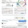 USA Rappahannock Electric Cooperative utility bill template in Word and PDF format
