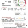 USA Rural Electric Cooperative utility bill template in Word and PDF format