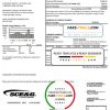 USA South Carolina SCE&G electricity utility bill template in Word and PDF format