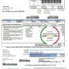 USA South Carolina Santee Electric Cooperative (SEC) proof of address utility bill template in Word and PDF format