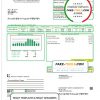 USA South Dakota Southeastern Electric utility bill template in Word and PDF format