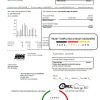 USA South Dakota Black Hills Energy utility bill template in Word and PDF format