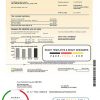 USA Southern California Edison utility bill template in Word and PDF format