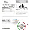 USA Spire gas utility bill template in Word and PDF format