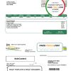 USA Steuben Country REMC utility bill template in Word and PDF format