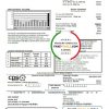 USA Texas CPS utility bill template in Word and PDF format