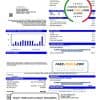USA Texas Carrollton utility bill template in Word and PDF format