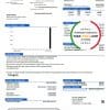 USA Texas City of Corsicana utility bill template in Word and PDF format