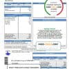 USA Texas City of Laredo Utilities Department water utility bill template in Word and PDF format