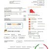 USA Texas Frontier Utilities utility bill template in Word and PDF format