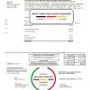 USA Texas Gexa Energy utility bill template in Word format