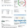 USA Texas McKinney utility bill template in Word and PDF format