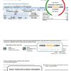 USA Texas Medina Electric utility bill template in Word and PDF format
