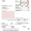 USA Texas Minol utility bill template in Word and PDF format