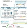 USA Texas Power of Community electricity utility bill in Word and PDF format, good for address prove