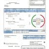USA Texas San Patricio Electric Corporative utility bill template in Word and PDF (.doc and .pdf) format
