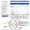 USA Texas TriEagle utility bill template in Word and PDF (.doc and .pdf) format