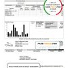 USA The City of Wichita Falls Utility bill template in Word and PDF format