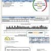 USA Tri-County Electric Cooperative utility bill template in Word and PDF format