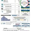 USA Tyler Technologies utility bill template in Word and PDF format