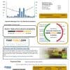 USA Virginia Atmos Energy utility bill template in Word and PDF format (.doc and .pdf)
